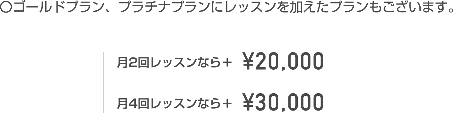 ゴールドプラン、プラチナプランにレッスンを加えたプランもございます